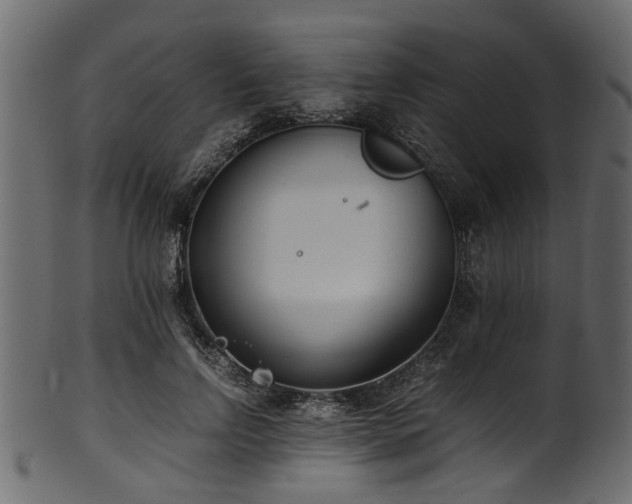 X0000102030742200807181349