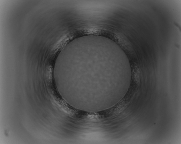 X0000102030744200807181349