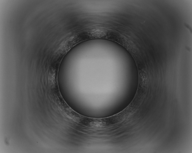 X0000102030745200807181350