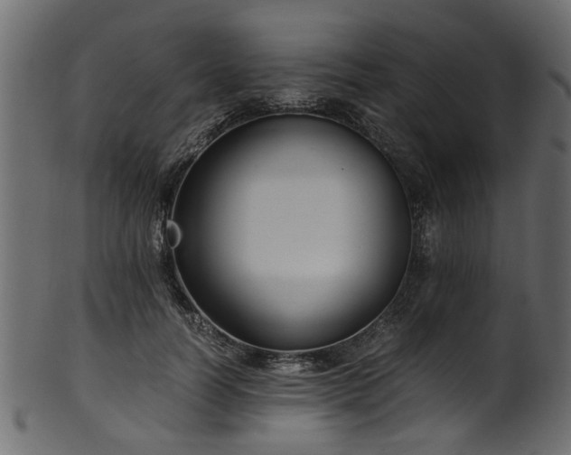 X0000102030746200807181350