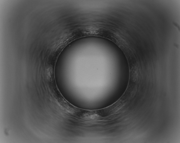 X0000102030747200807181350