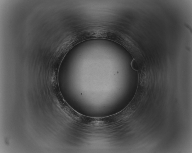 X0000102030748200807181350