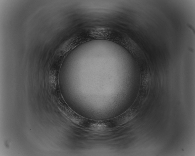 X0000102030749200807181350