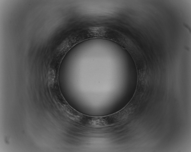 X0000102030752200807181350