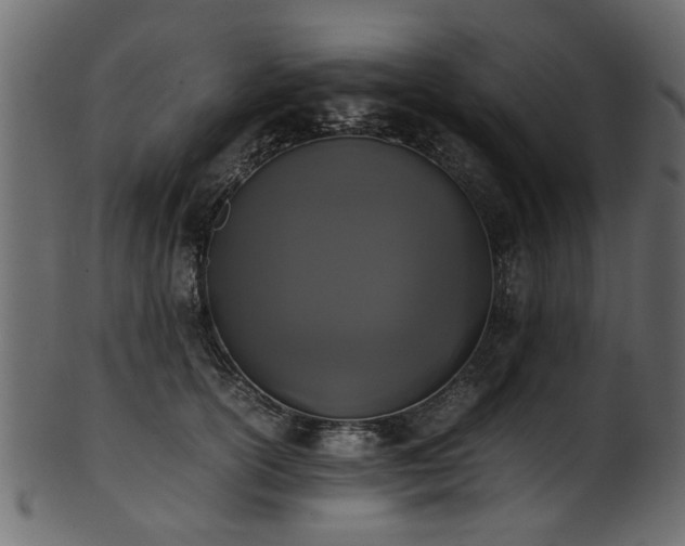 X0000102030754200807181350