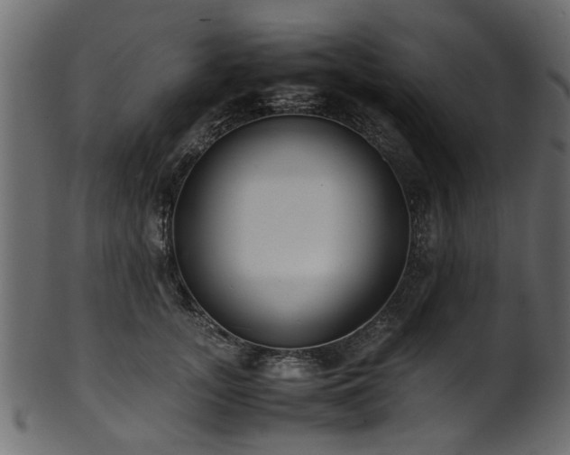 X0000102030755200807181350