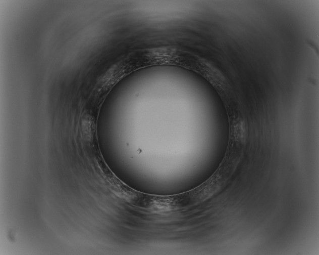 X0000102030757200807181350