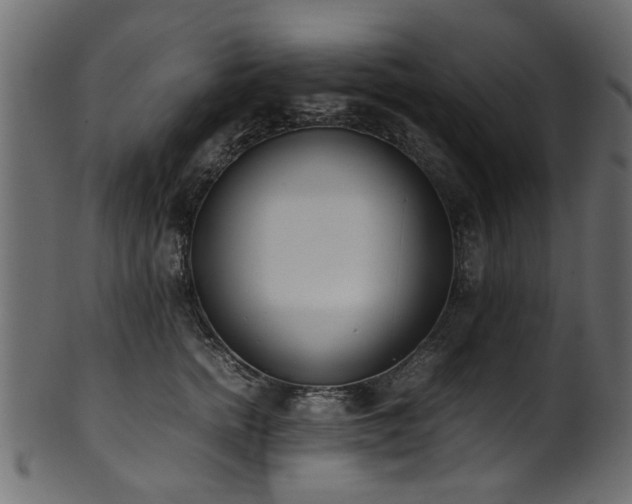 X0000102030758200807181350