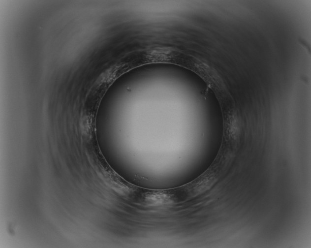 X0000102030759200807181350