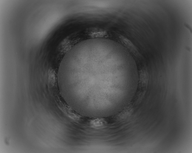 X0000102030761200807181350