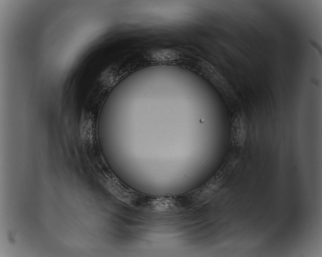 X0000102030762200807181350