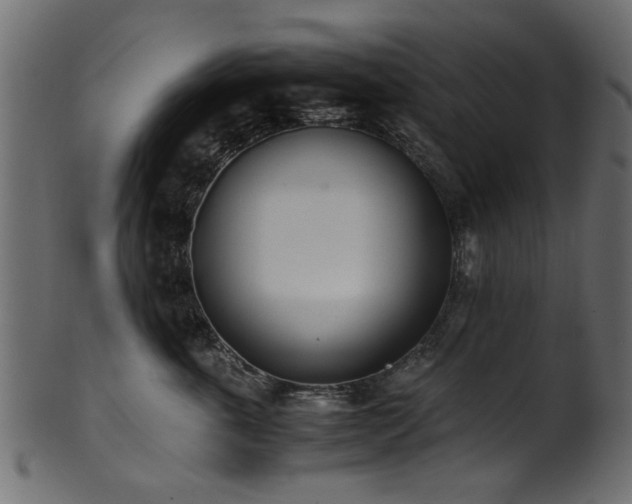 X0000102030763200807181350