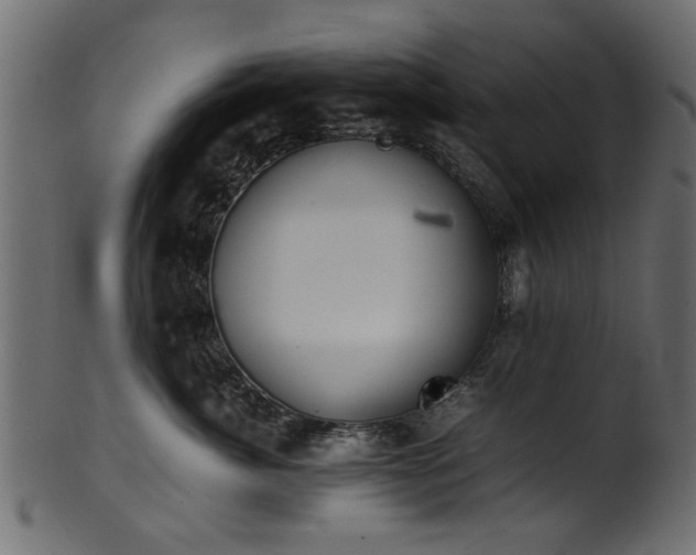 X0000102030764200807181350