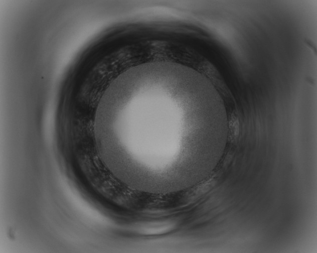 X0000102030765200807181350