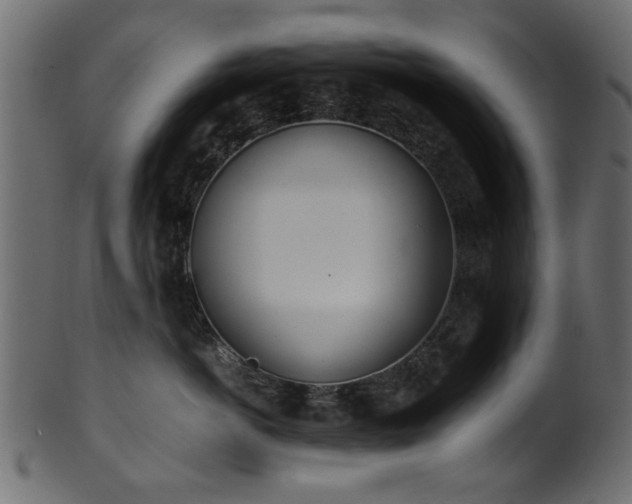 X0000102030766200807181350