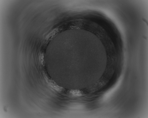 X0000102030767200807181350