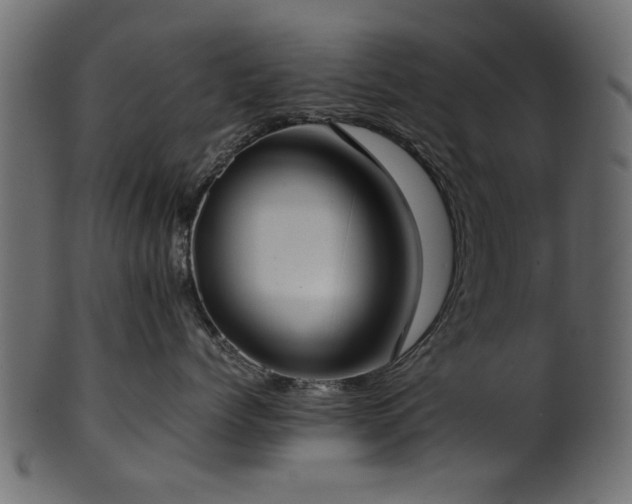 X0000102030768200807181350