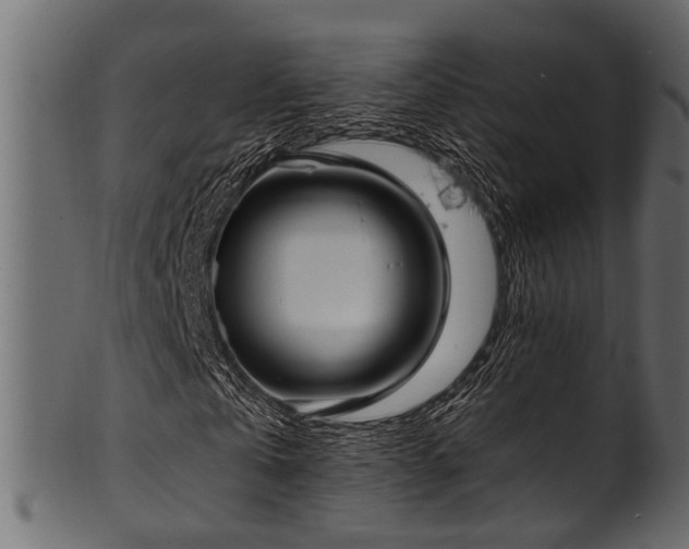 X0000102030769200807181349