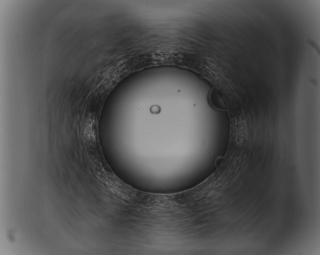 X0000102030770200807181349