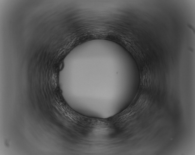 X0000102030772200807181349