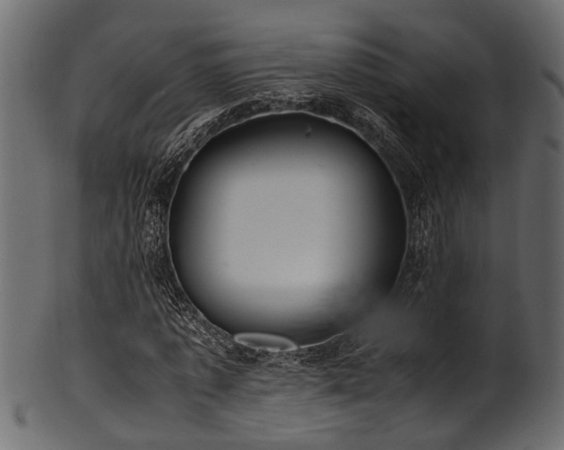 X0000102030773200807181349