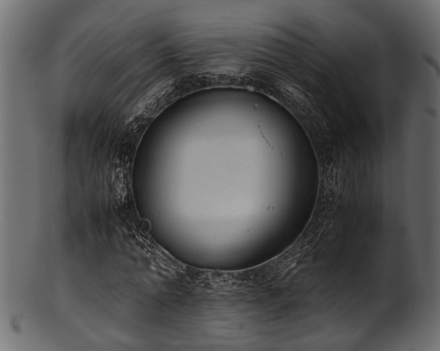 X0000102030774200807181349