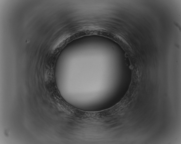 X0000102030775200807181349