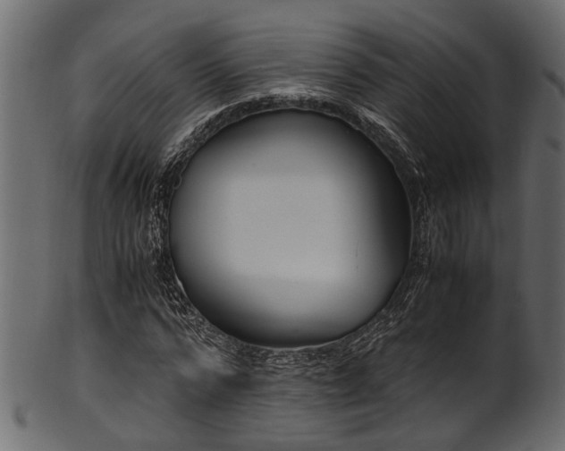 X0000102030776200807181349