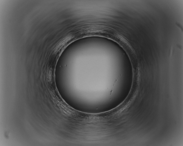 X0000102030777200807181349