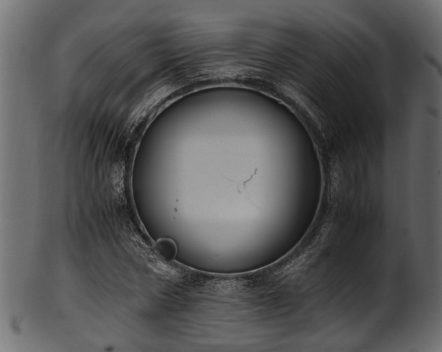 X0000102030778200807181349