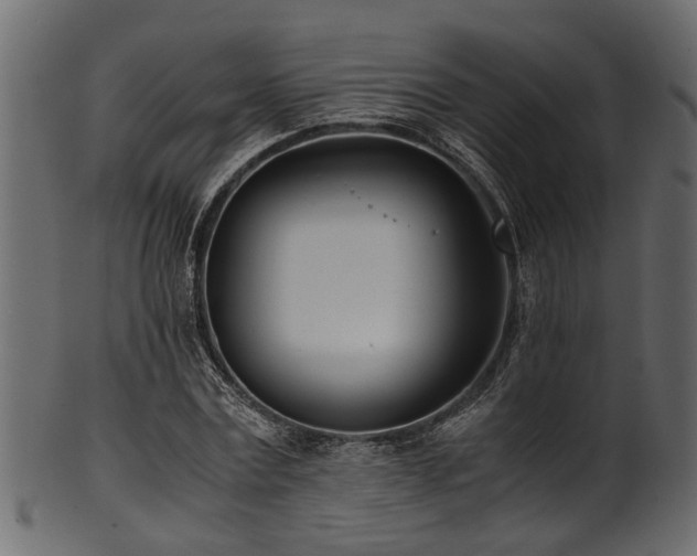 X0000102030779200807181349