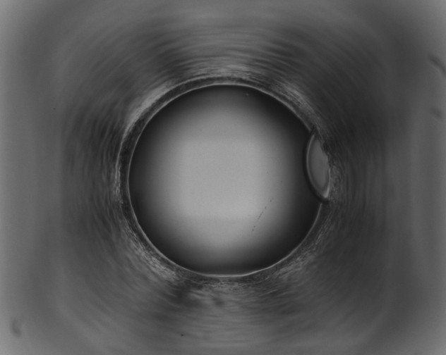 X0000102030780200807181349