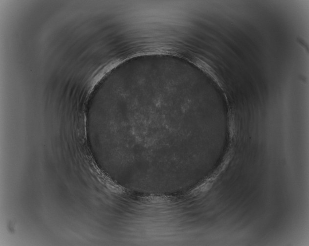 X0000102030781200807181349