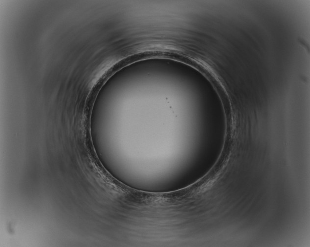 X0000102030783200807181349