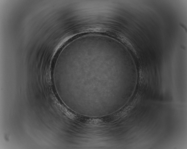 X0000102030784200807181349