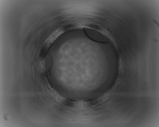 X0000102030785200807181349