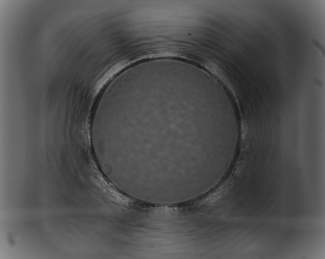 X0000102030789200807181349