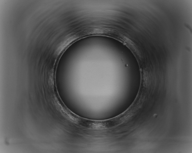 X0000102030794200807181349