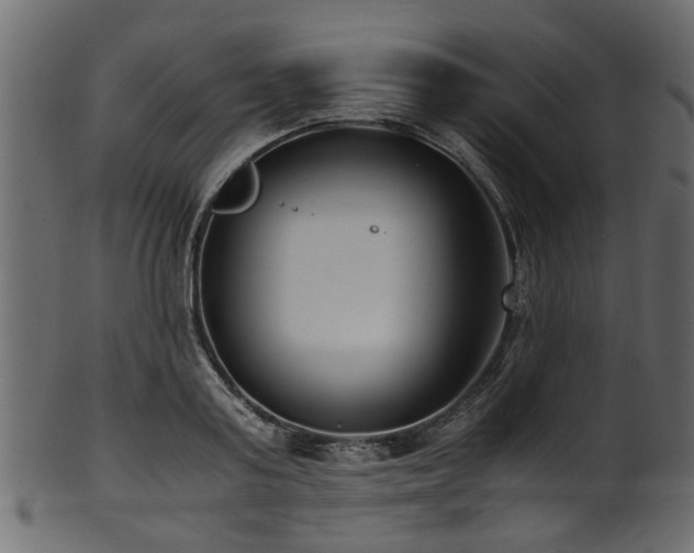 X0000102030795200807181349