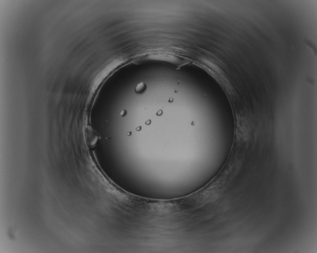 X0000102030804200807181349