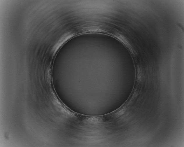 X0000102030806200807181348