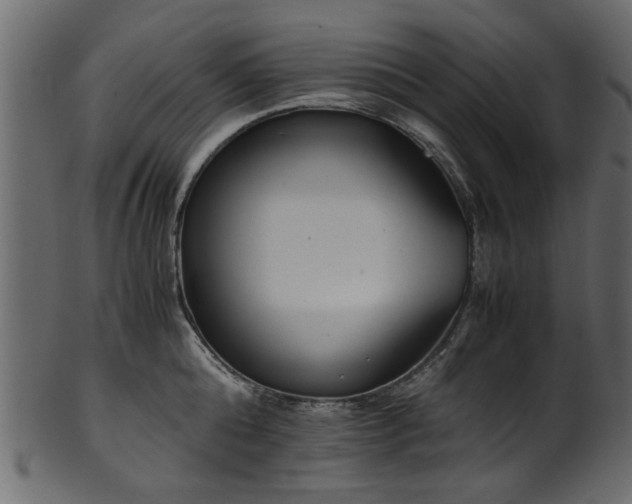 X0000102030808200807181348