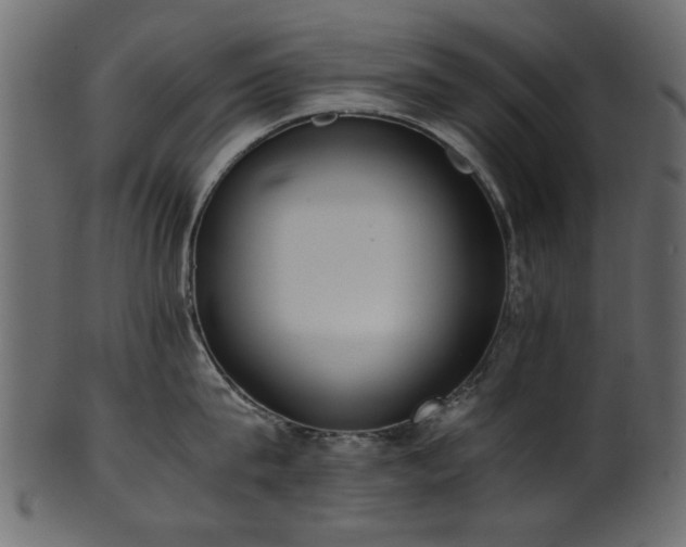 X0000102030815200807181348