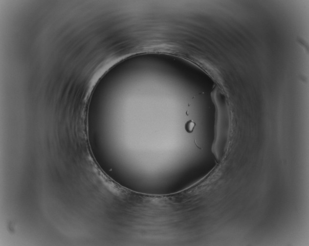 X0000102030816200807181348