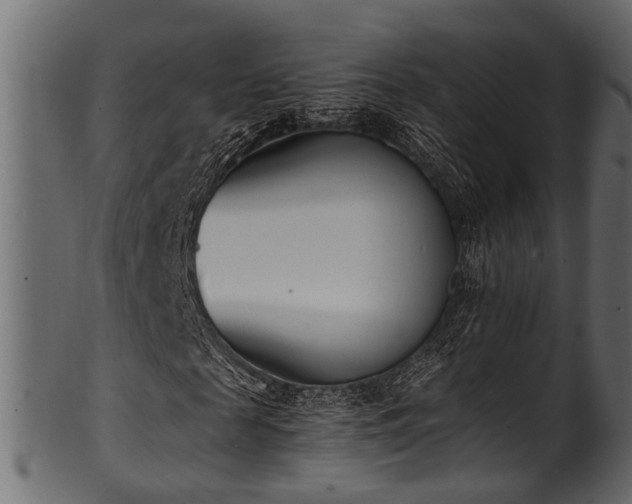 X0000102030817200807181348