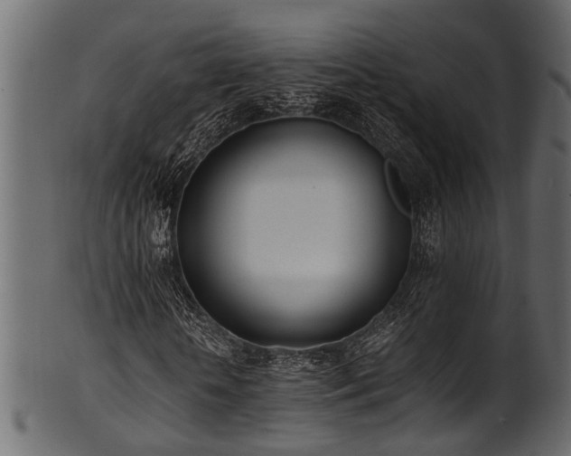 X0000102030818200807181348