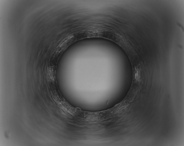 X0000102030819200807181348