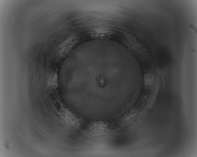 X0000102030820200807181348