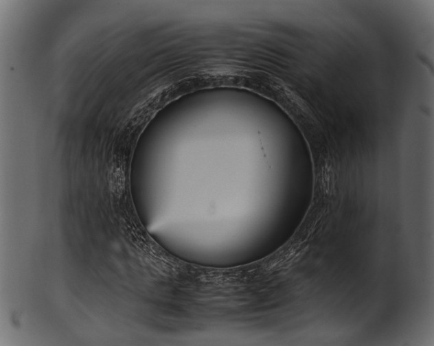 X0000102030821200807181348