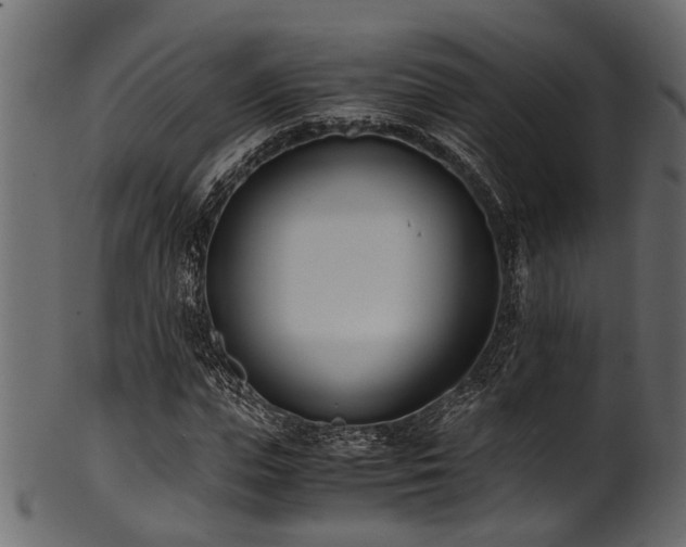 X0000102030823200807181348